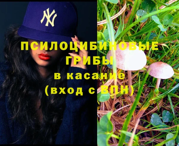 прущий лед Аркадак