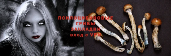 прущий лед Аркадак