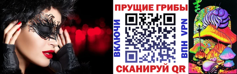 Галлюциногенные грибы Cubensis  Купить  Нея 