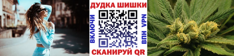 Купить  Нея  Канабис сатива 